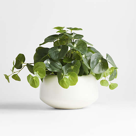 Potted Faux Pilea Plant in White Pot