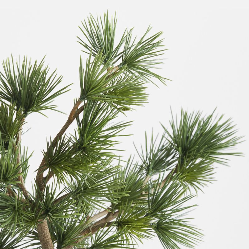 Potted Faux Pine Bonsai in Black Pot - image 3 of 4