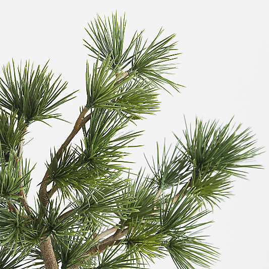 Potted Faux Pine Bonsai in Black Pot