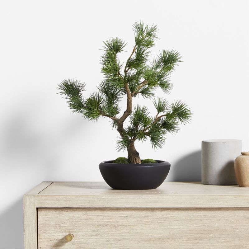 Potted Faux Pine Bonsai in Black Pot - image 2 of 4