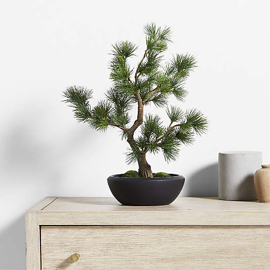 Potted Faux Pine Bonsai in Black Pot