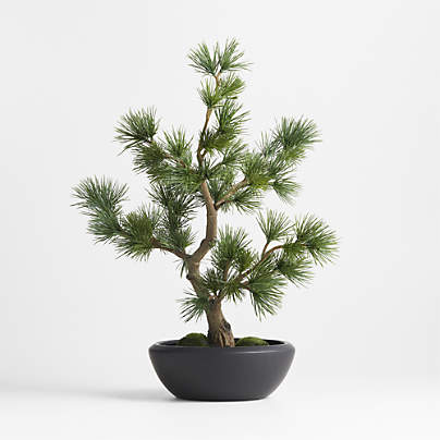 Potted Faux Pine Bonsai in Black Pot