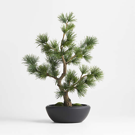 Potted Faux Pine Bonsai in Black Pot