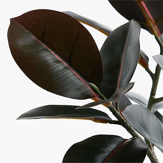 Potted Faux Rubber Tree 16"