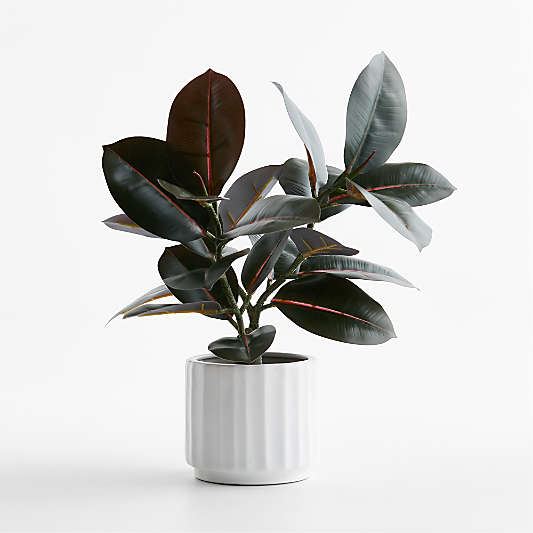 Potted Faux Rubber Tree 16"