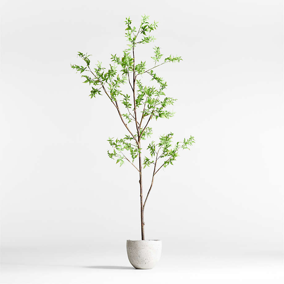Potted Faux Green Maple Tree 7.5' + Reviews | Crate & Barrel