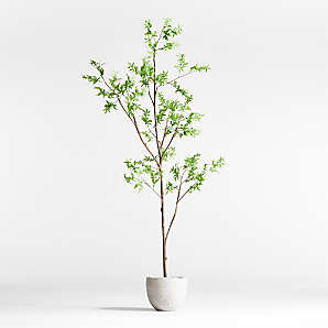 CAPHAUS 5 ft. Green Artificial Olive Tree, Faux Plant in Pot, Faux Olive Branch and Fruit with Dried Moss for Indoor Home Office