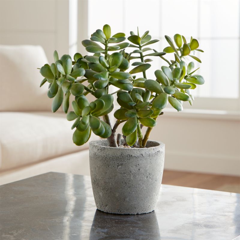 Faux Potted Jade Plant