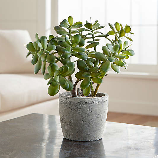 Faux Potted Jade Plant