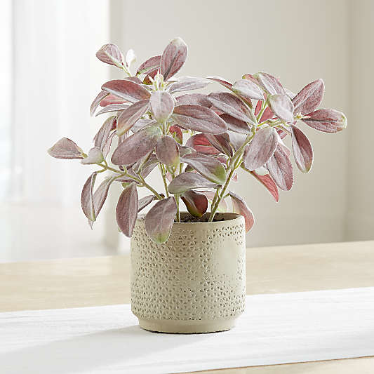 Potted Artificial Lamb's Ear