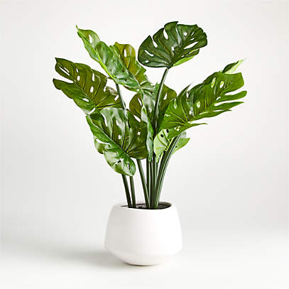 Artificial/Faux Potted Monstera + Reviews | Crate & Barrel