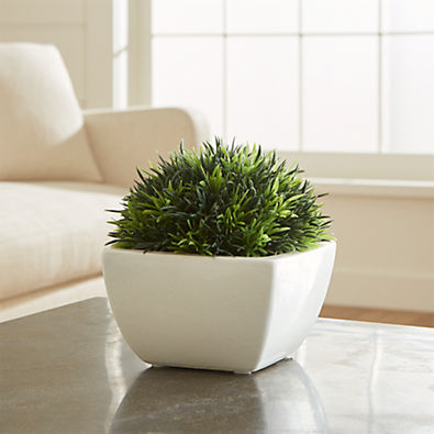 View Potted Faux Moss details