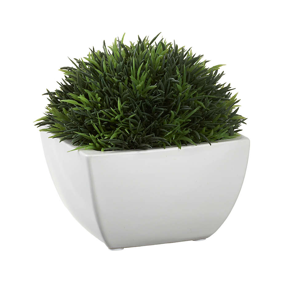 Potted Artificial/Faux Moss + Reviews