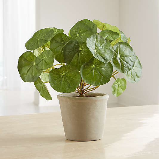 Artificial Potted Nasturtium