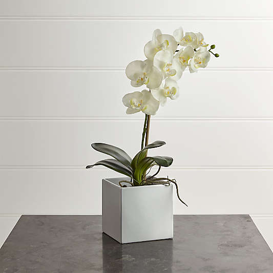 Faux Large Potted Orchid Plant