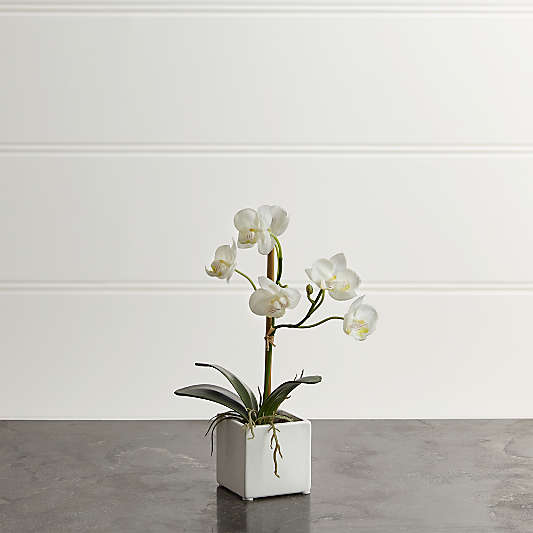 Faux Potted Orchid Plant