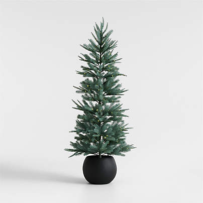 Potted Pre-Lit Blue Spruce Tree 6'