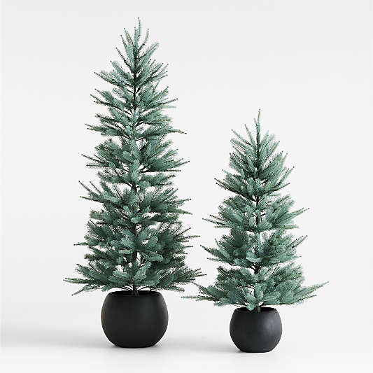 Potted Pre-Lit Blue Spruce Tree 4'