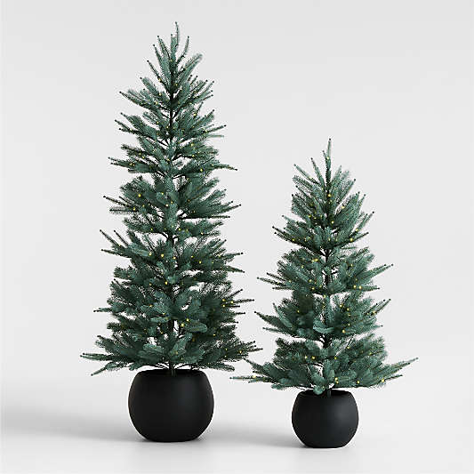 Potted Pre-Lit Blue Spruce Tree 4'