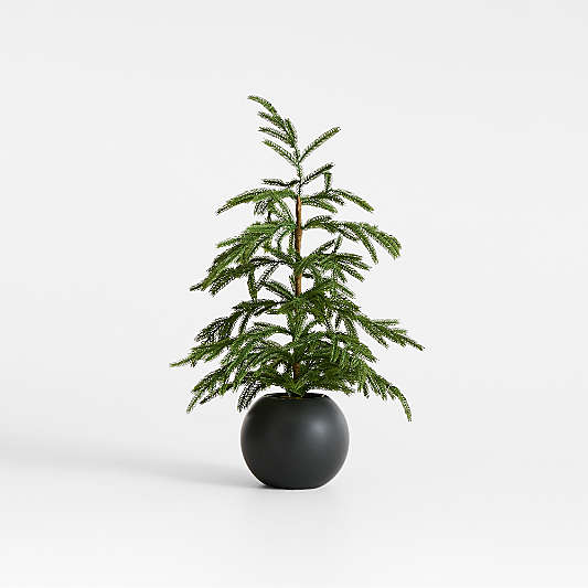 Potted Pre-Lit Norfolk Pine Holiday Faux Trees 2'-4'
