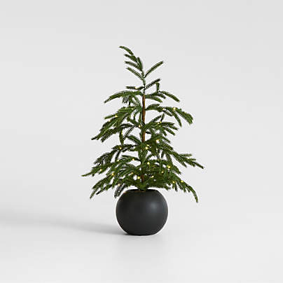 Potted Pre-Lit Norfolk Pine Faux Tree 2'