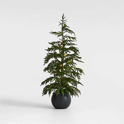 Potted Pre-Lit Norfolk Pine Tree 4'