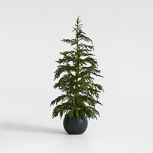 Potted Pre-Lit Norfolk Pine Tree 4'