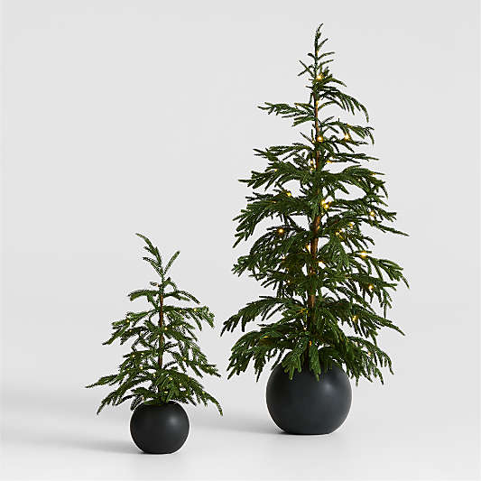 Potted Pre-Lit Norfolk Pine Holiday Faux Trees 2'-4'