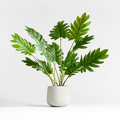 View Potted Faux Philodendron 24" details