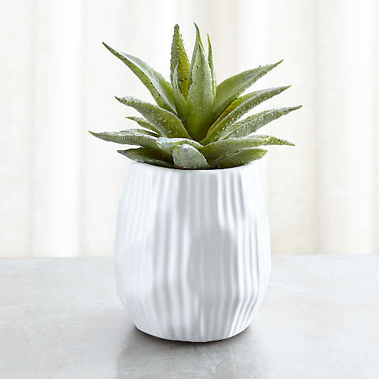 Faux Potted Single Succulent Plant