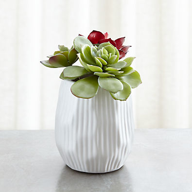 View Potted Faux Succulent Trio details