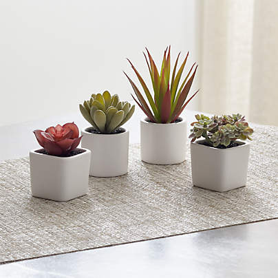 Faux Mini Potted Succulents, Set of 4