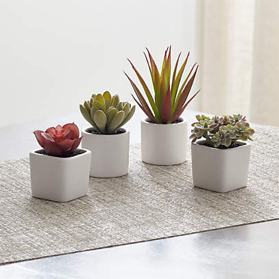 Set of 4 Small Green Plastic Artificial Succulent Plants in Mini Modern White