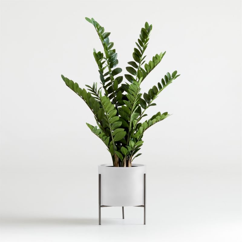 Malta Ivory Indoor/Outdoor Planter 11"x9.5"