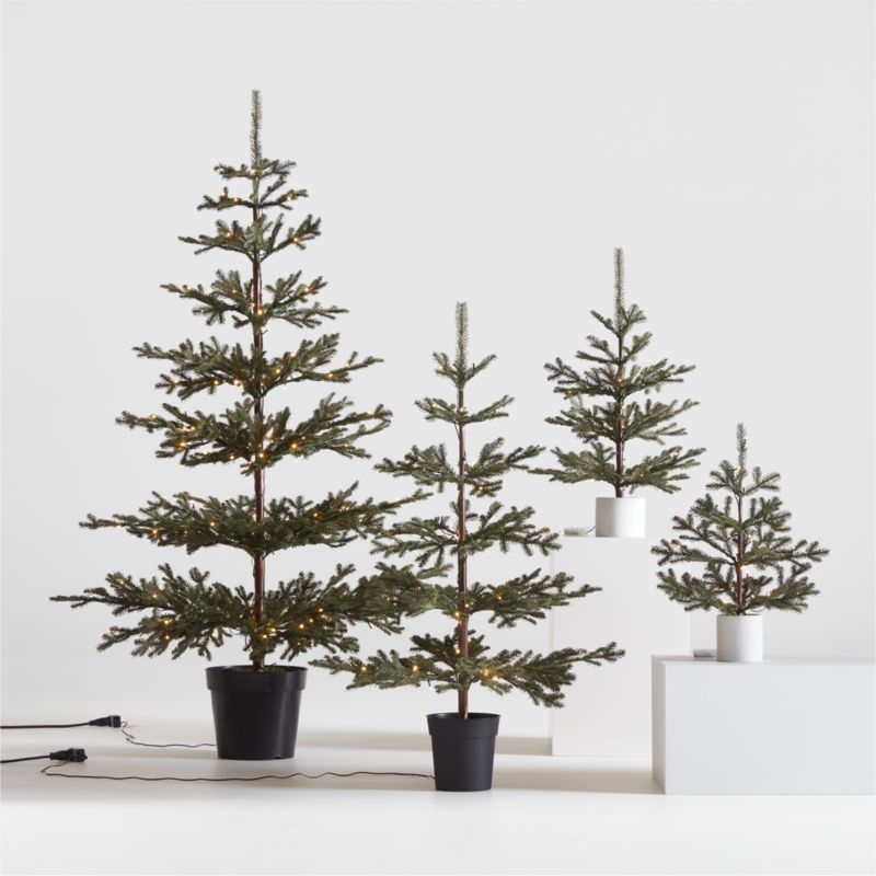 Faux Potted Pine PreLit LED Christmas Trees with White Lights Crate