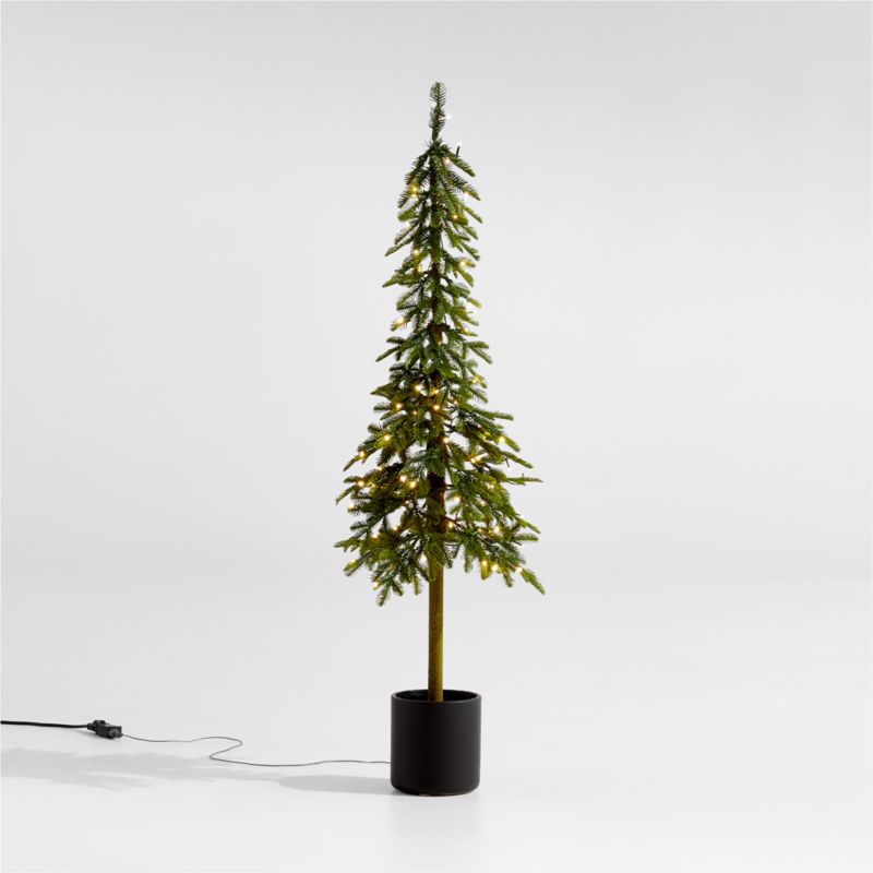 Faux Potted Slim Alpine Pre-Lit LED Tree with White Lights 5' - image 0 of 14