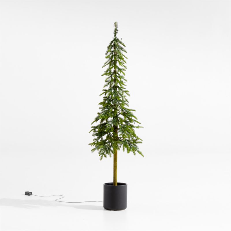 Faux Potted Slim Alpine Pre-Lit LED Tree with White Lights 5' - image 3 of 14