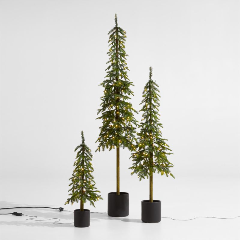 Faux Potted Slim Alpine Pre-Lit LED Tree with White Lights 3' - image 2 of 14