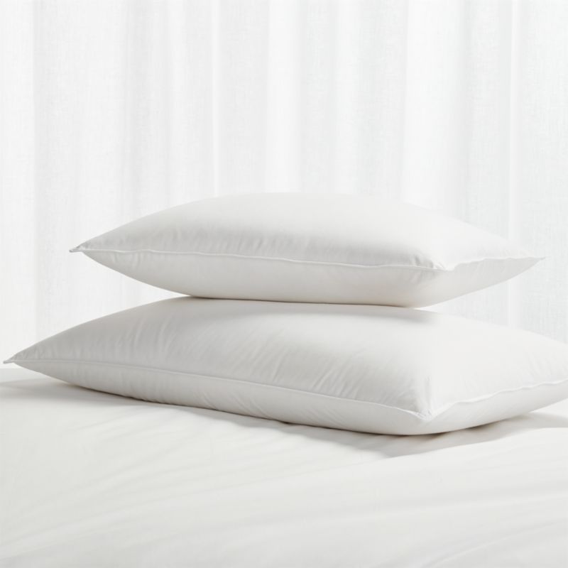 Premium Down Firm Standard Pillow - image 1 of 4