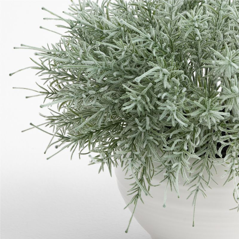 Potted Faux Rosemary Plant 11" - image 1 of 2