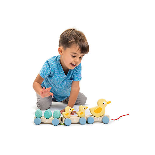 Tender Leaf Wooden Kids Pull-Along Ducks Toy