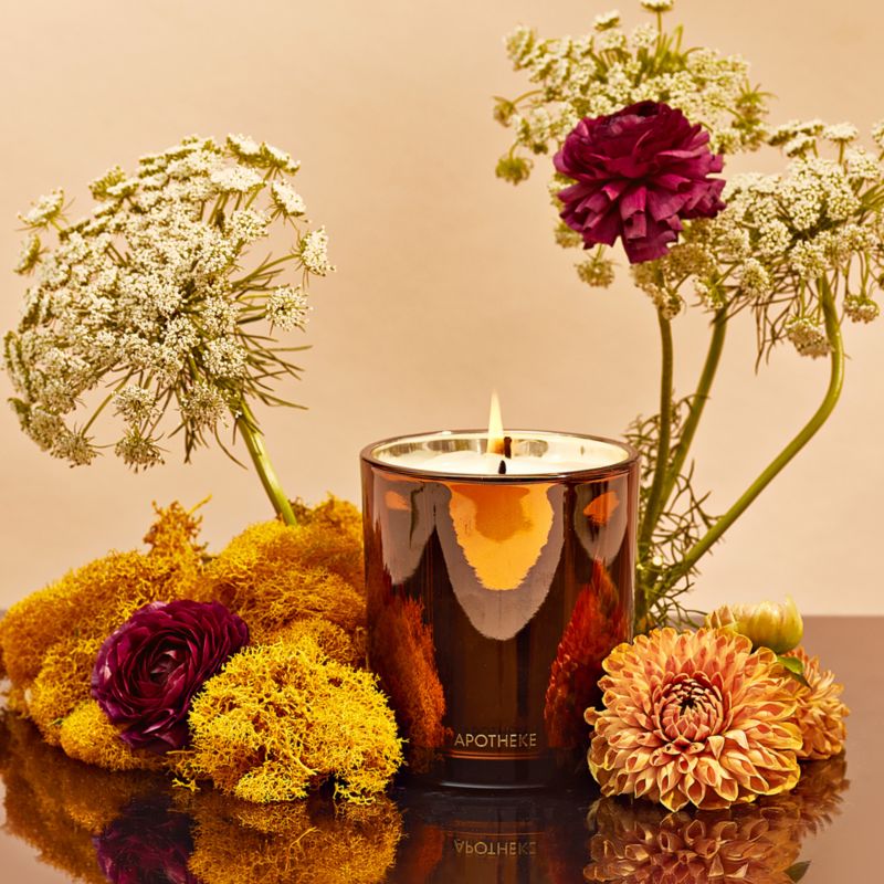 Apotheke Pumpkin Ginger 1-Wick Candle - image 5 of 6
