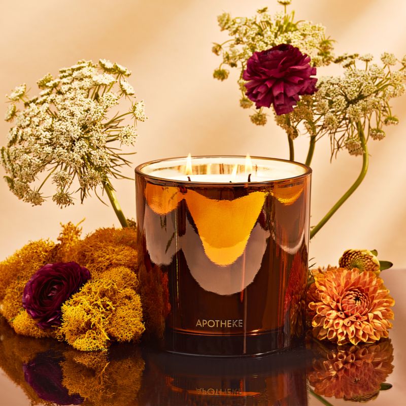 Apotheke Pumpkin Ginger 3-Wick Candle - image 5 of 6