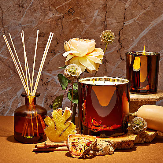 Apotheke Pumpkin Ginger Scented Reed Diffuser