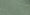Duck Green