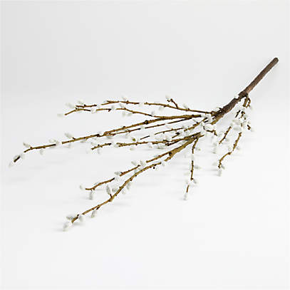 Bleached Willow Branches