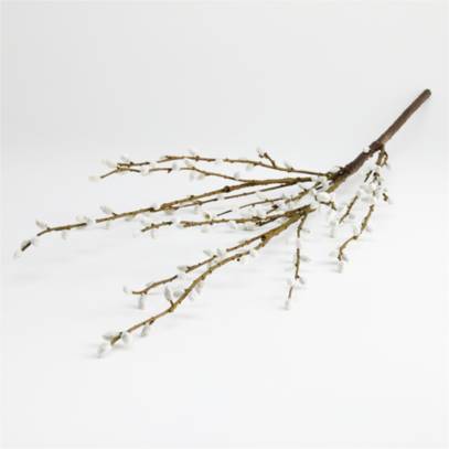 Willow branches 8x