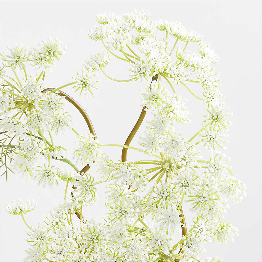 Faux Queen Anne's Lace Stems Trio White Houseplants in Green/White - The Sill