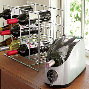 Crate and Barrel Ice Mold/Wine Bottle Chiller