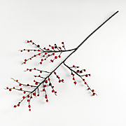 Schott Zwiesel Tour Acrylic Glasses